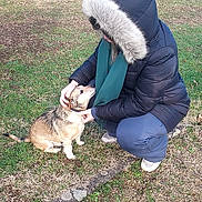 Iouky participe au concours pour gagner de l'argent avec cette photo : person, dog, park, grass, tree, jacket, hood, scarf, outdoor, petting, crouching, cold_weather, small_dog, nature, path, leafless_tree, casual_clothing, daytime, animal, human_animal_interaction
