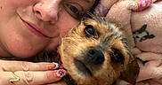 Bandit is registered to the contest to win money with this photo: woman, dog, pet, portrait, selfie, cuddling, indoors, blanket, bed, cozy, face, eyes, smile, brown_dog, small_dog, fur, human, manicure, painted_nails, closeup