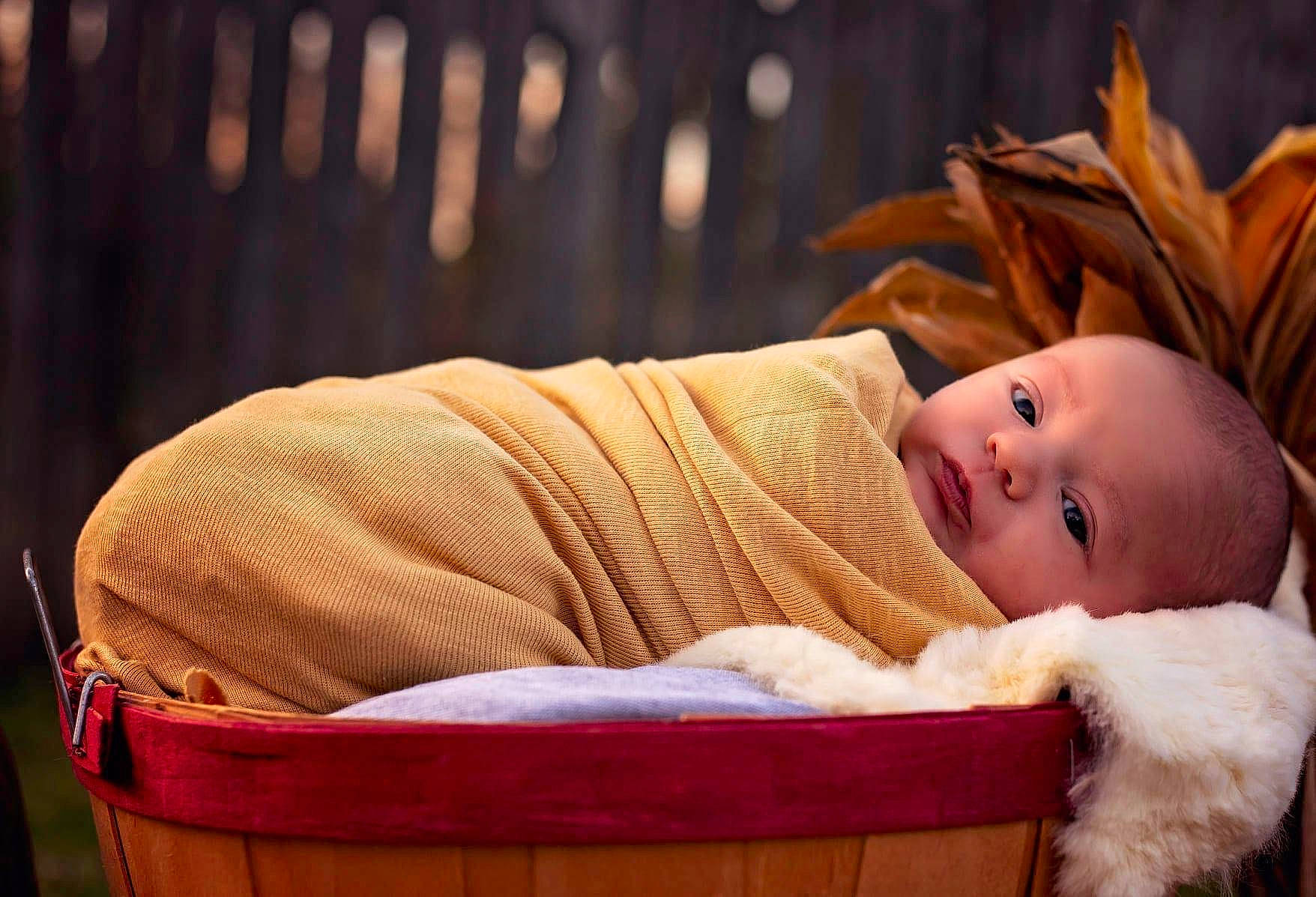 Kolson joined the competition — help win amazing prizes! baby, baby_products, baby_safety, baby_sleeping, baby_toddler_clothing, basket, cheek, child, comfort, fur, happy, hat, linens, orange, peach, person, sitting, skin, toddler, wicker