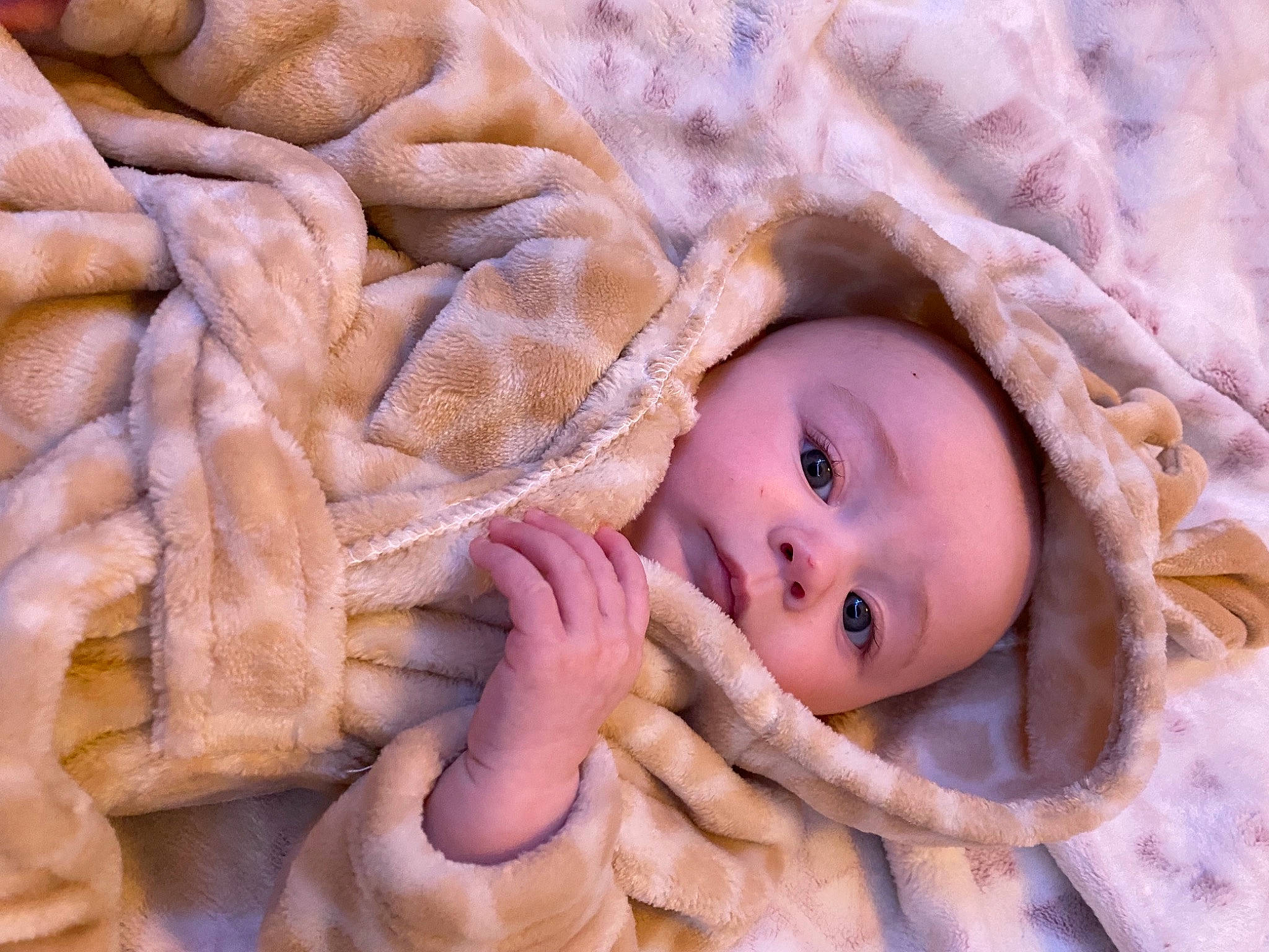 Kolson joined the competition — help win amazing prizes! baby, cheek, comfort, eye, eyelash, face, gesture, hair, happy, head, human_body, linens, lip, mammal, mouth, nose, person, skin, textile, vertebrate