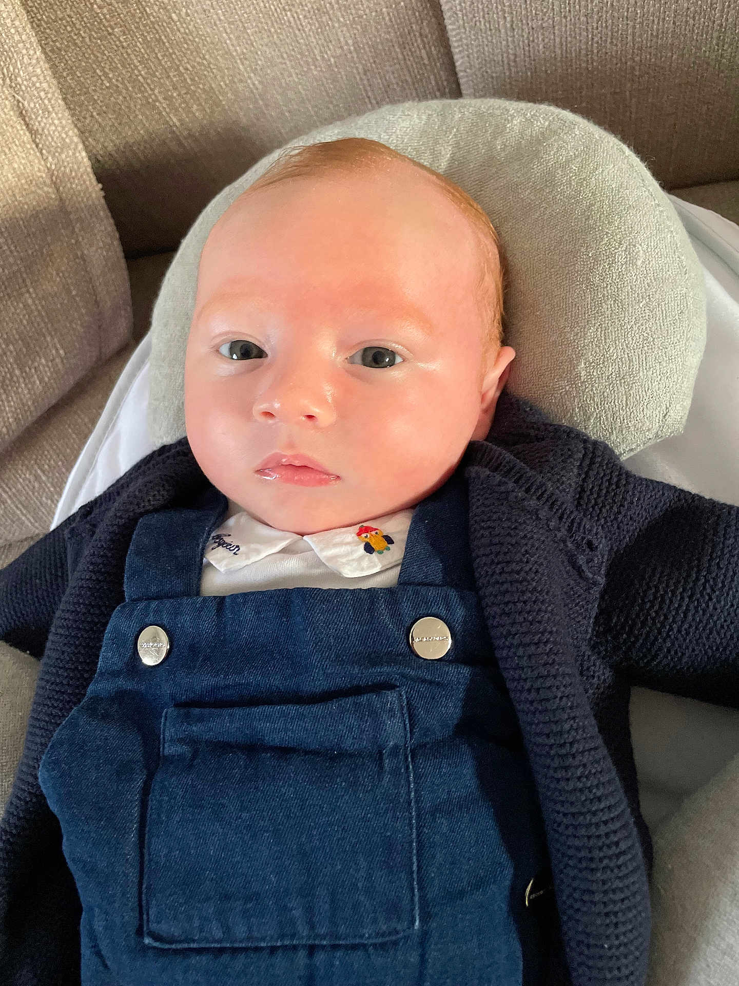 Rafaël participe au concours pour gagner de l'argent avec cette photo : baby, infant, child, face, head, blue_overalls, knitted_sweater, cushion, sofa, indoors, portrait, resting, light_skin, red_hair, young_child, clothing, comfort, close_up, expressionless, casual