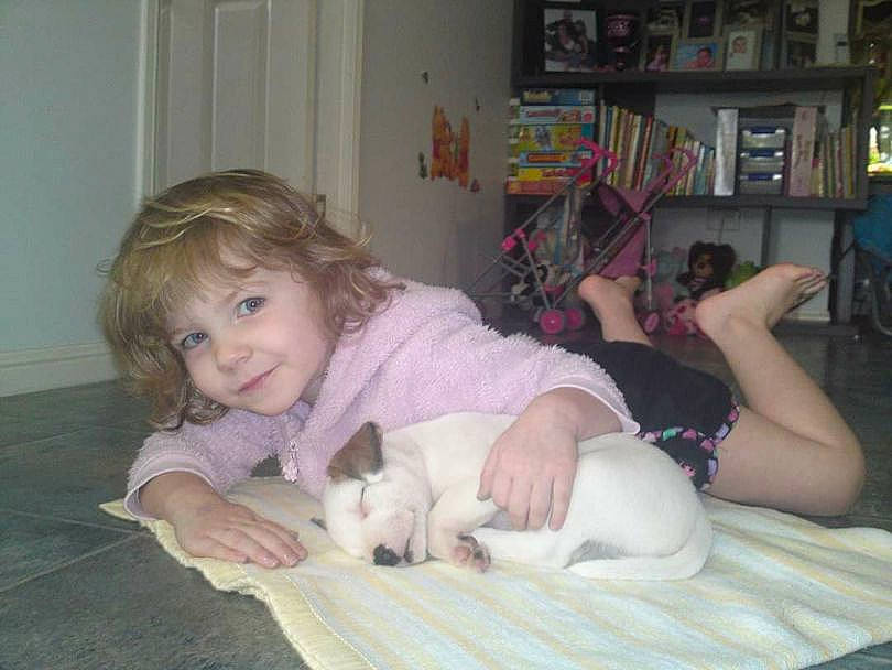 Poly joined the competition — help win amazing prizes! baby, canidae, cat, child, companion_dog, sitting, toddler