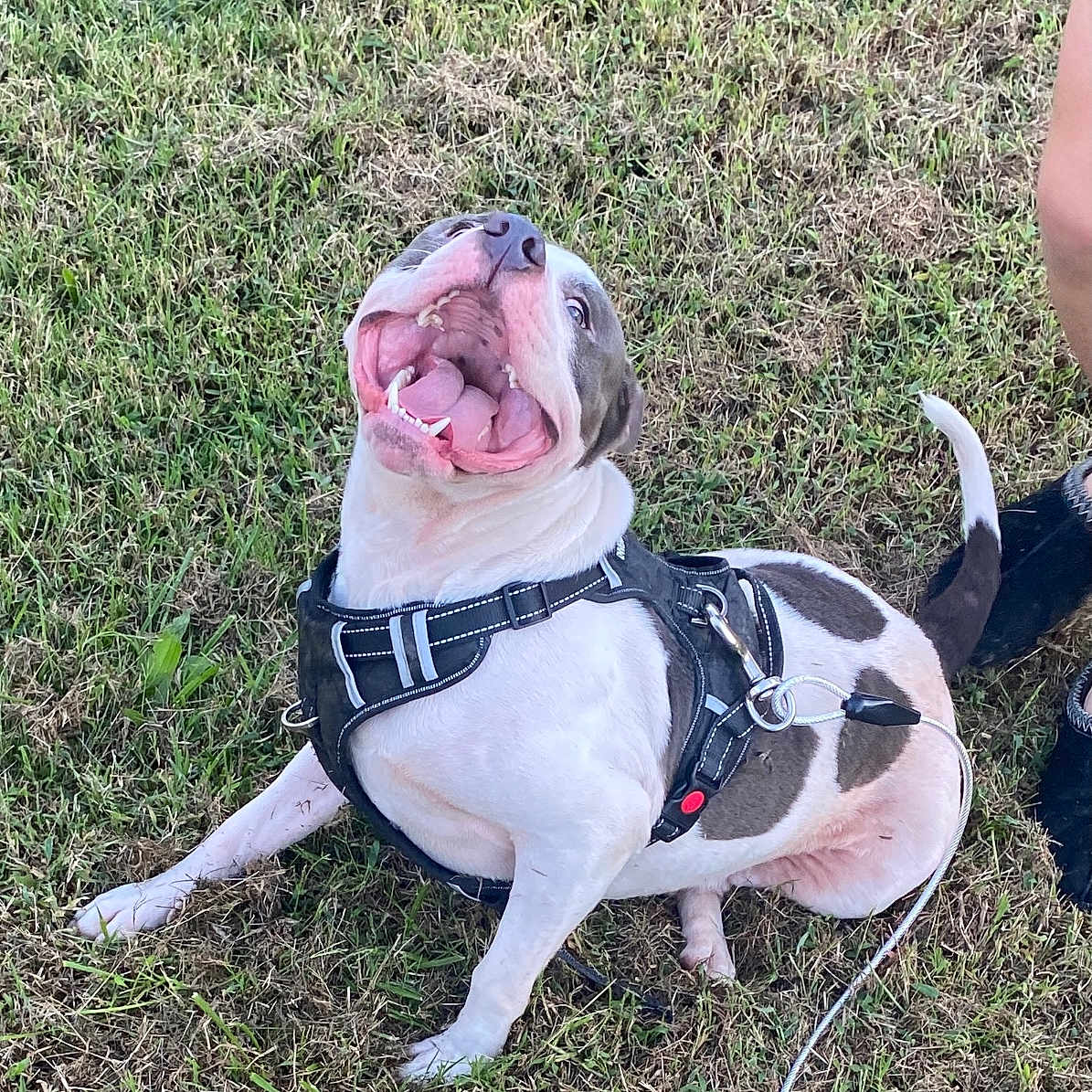 Winston James