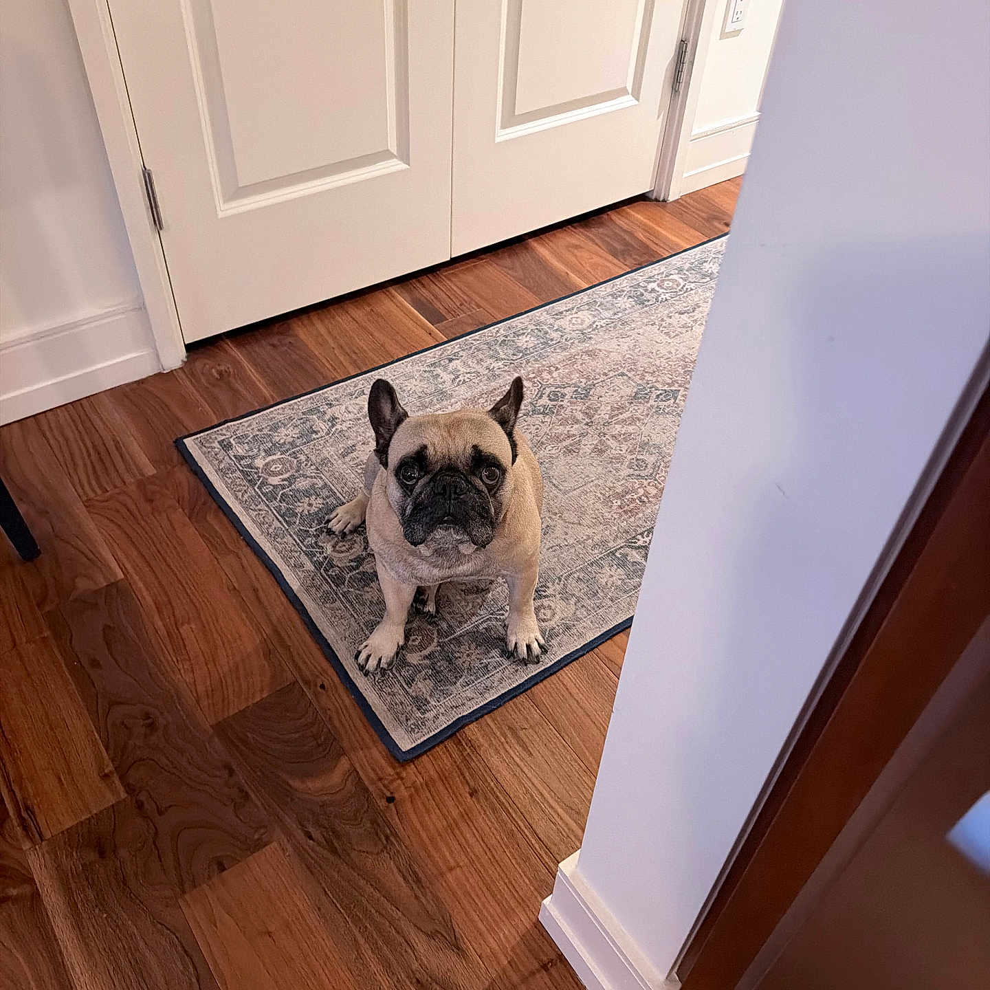 Winston