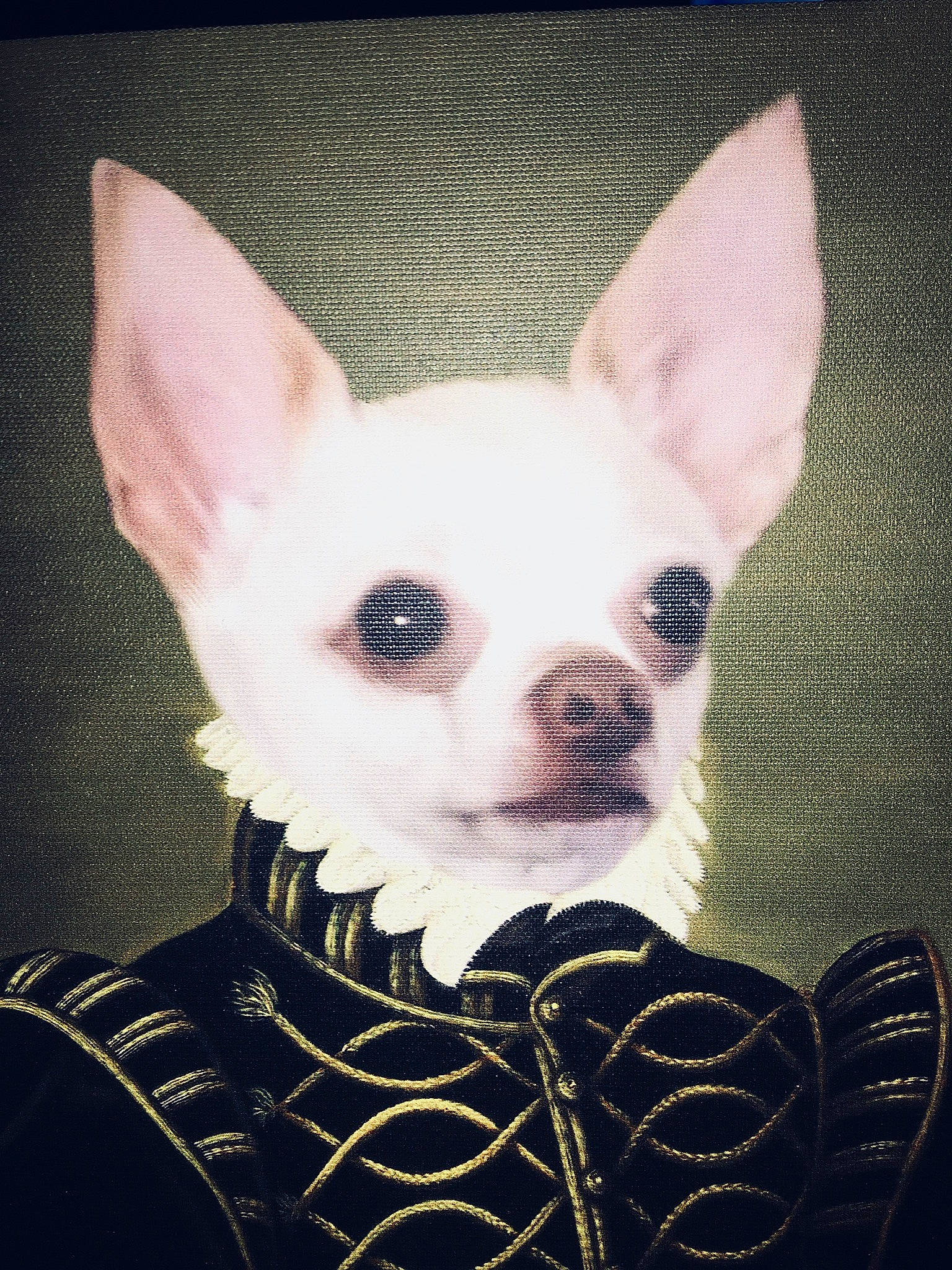 Kabuki joined the competition — help win amazing prizes! art, canidae, carnivore, companion_dog, corgi_chihuahua, dog, dog_breed, ear, fawn, fictional_character, font, fur, pattern, snout, tail, toy_dog, vertebrate, visual_arts, whiskers, working_animal