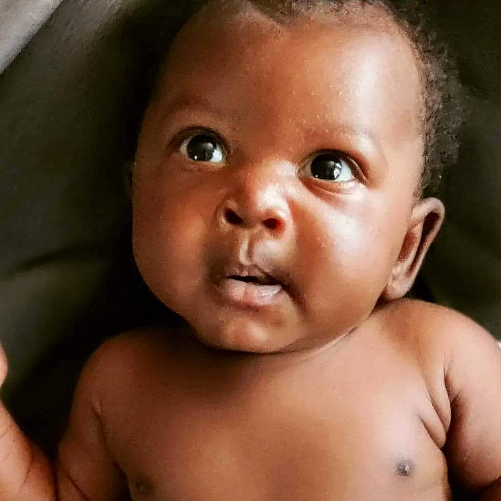 King joined the competition — help win amazing prizes! baby, cheek, chest, chin, ear, eyebrow, eyelash, facial_expression, finger, flash_photography, forehead, gesture, happy, iris, jaw, lip, mouth, nose, person, skin