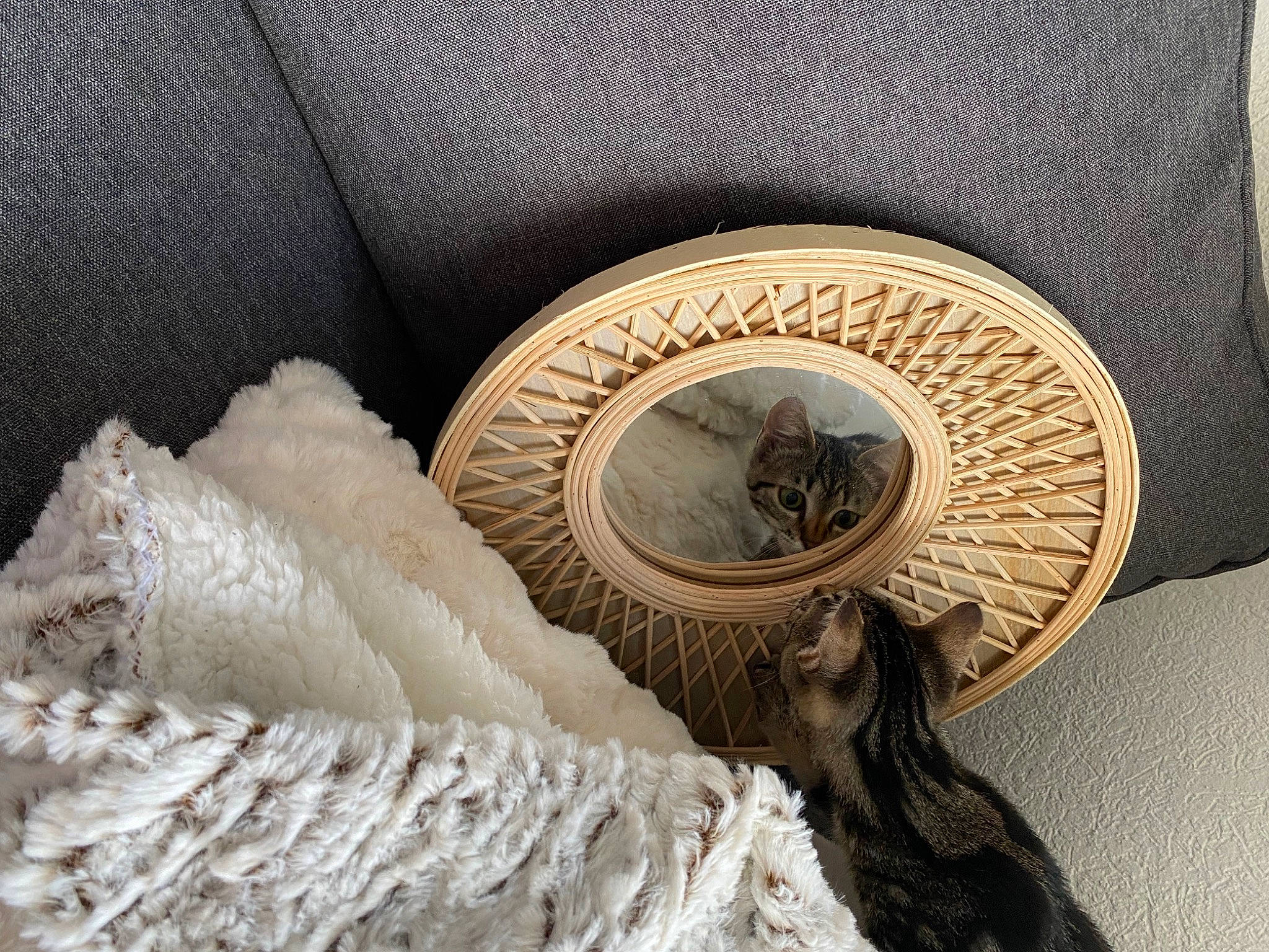 Emmy participe au concours pour gagner de l'argent avec cette photo : artifact, badge, beige, bronze, close_up, comfort, fashion_accessory, feather, fur, grey, hide, leather, linens, logo, metal, pattern, wildlife, wing, wood, working_animal