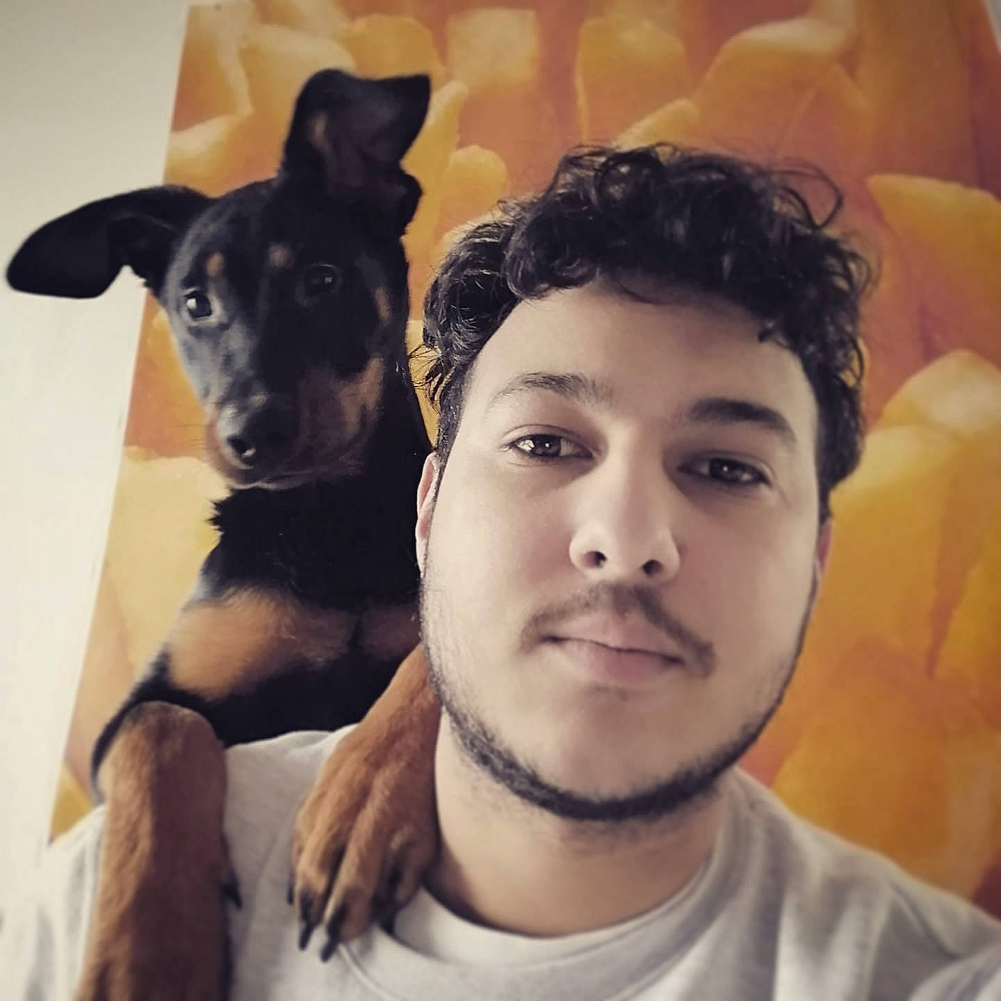 Oona a rejoint le concours — aidez-le/la à gagner de superbes lots ! canidae, carnivore, cool, dog, dog_breed, ear, eye, eyebrow, face, facial_hair, forehead, hair, happy, head, human, jaw, nose, photography, selfie, smile