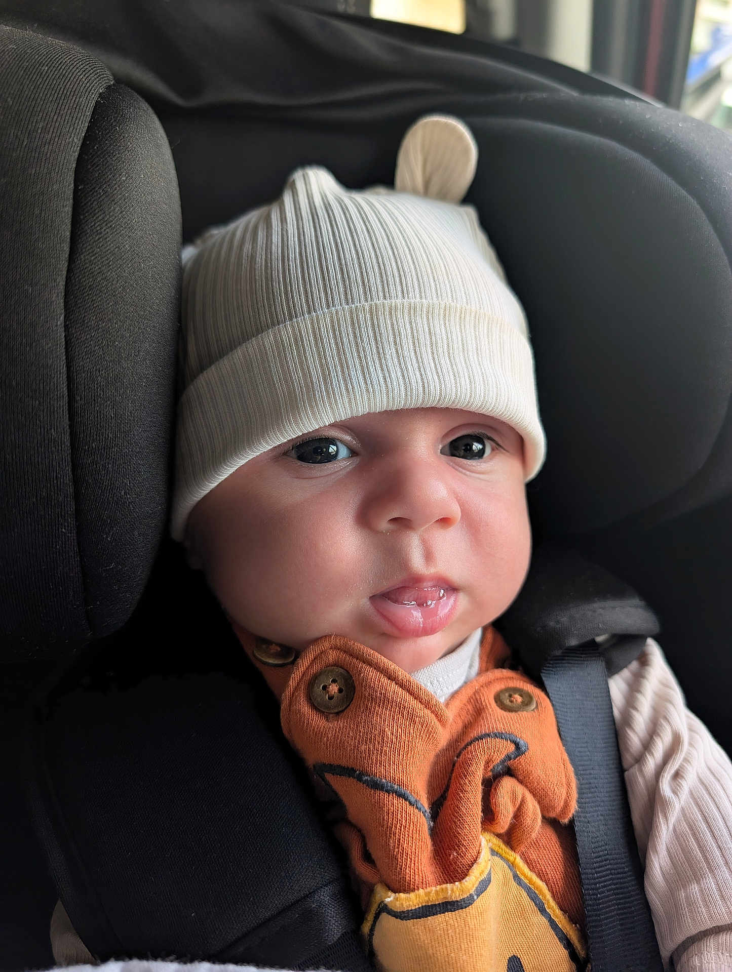 Daniel joined the competition — help win amazing prizes! baby, infant, hat, car_seat, black, orange_clothing, buttons, face, eyes, mouth, tongue, ribbed_hat, cute, child, seat_belt, closeup, indoors, young_child, person, apparel