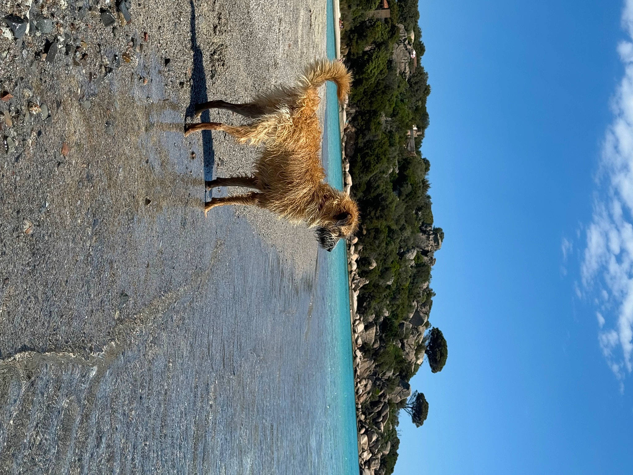 Laïa participe au concours pour gagner de l'argent avec cette photo : azure, coast, fun, lake, landscape, leisure, ocean, plant, recreation, reflection, rock, shadow, sky, soil, sunlight, tree, trunk, water, wood