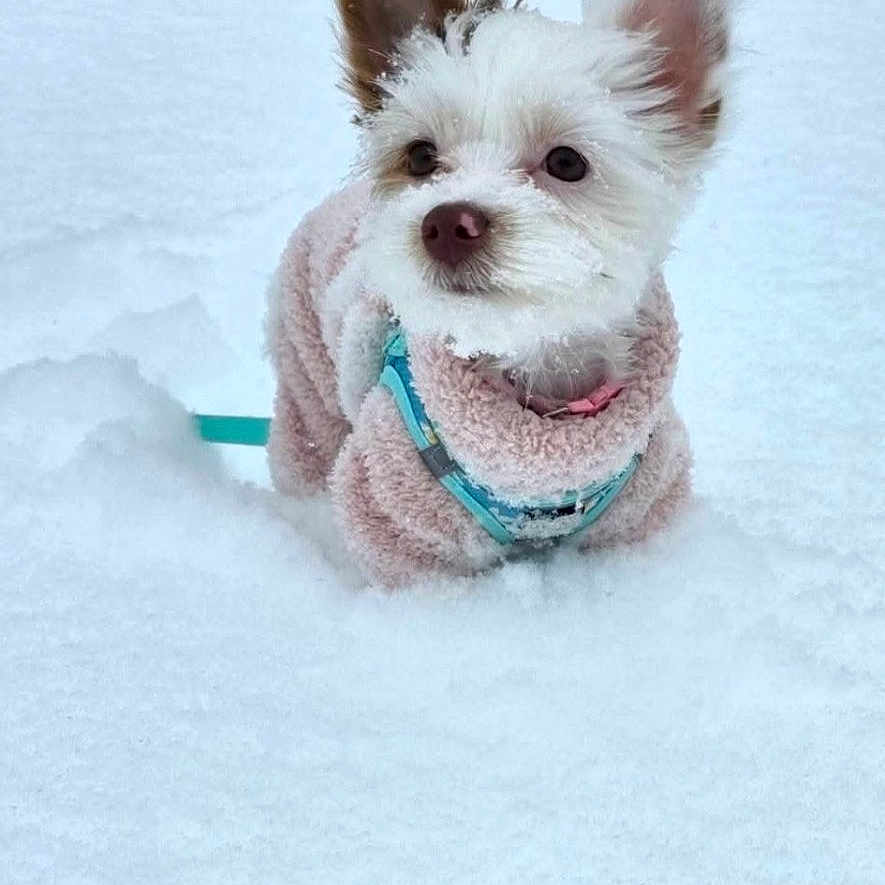 Sunnie