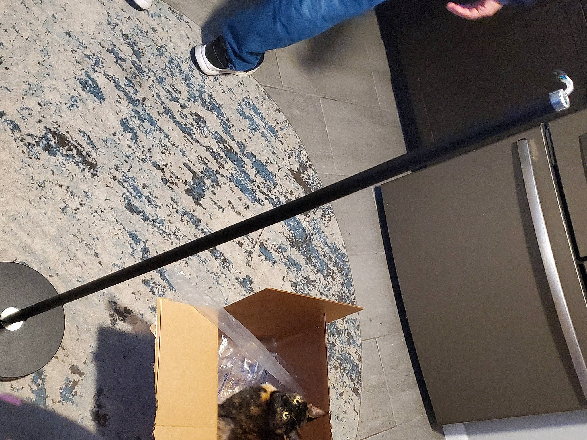 Callie is registered to the contest to win money with this photo: art, black, building, ceiling, electric_blue, eyewear, flooring, glass, human_leg, light, line, material_property, metal, room, shade, shadow, space, tints_and_shades, white, wood