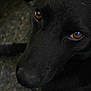 Eclipse participe au concours pour gagner de l'argent avec cette photo :