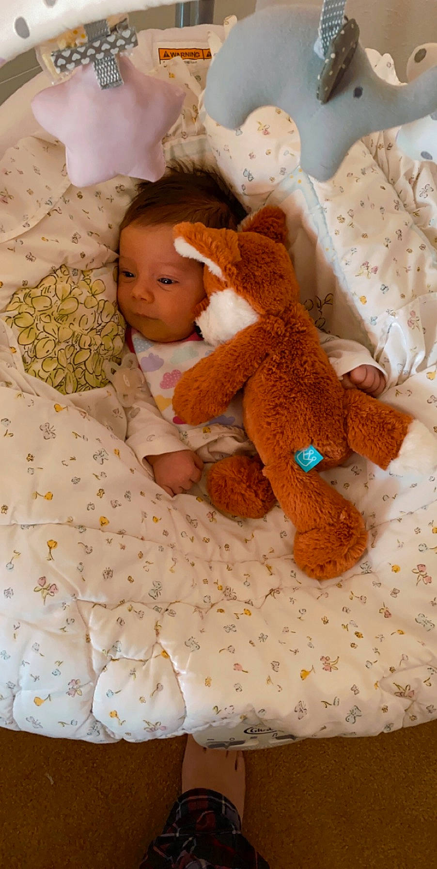 Rosemary joined the competition — help win amazing prizes! baby, bedding, bedtime, blanket, child, linens, person, product, sleep, stuffed_toy, teddy_bear, textile, toddler, toy