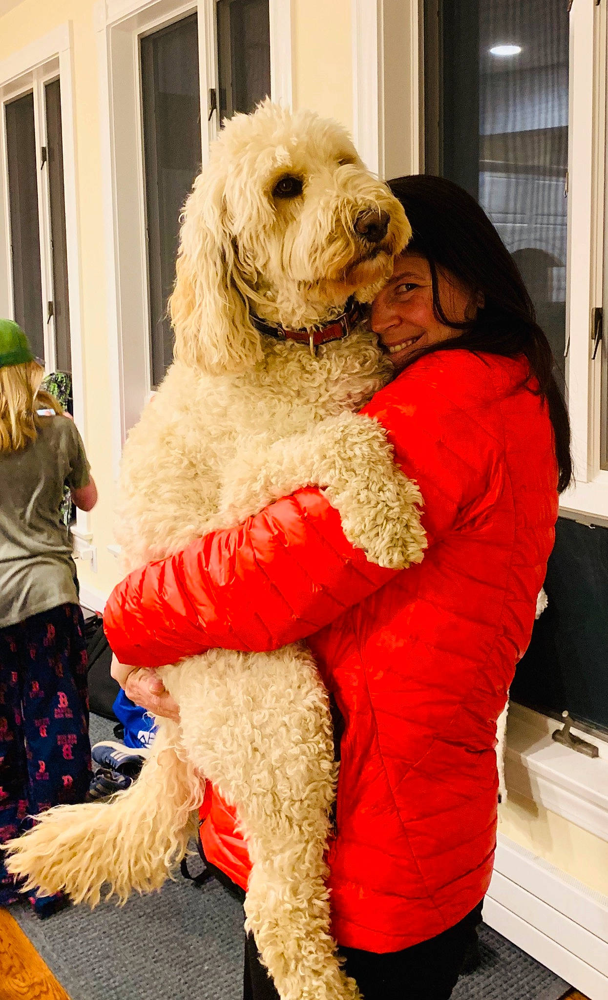 Riley joined the competition — help win amazing prizes! canidae, carnivore, cockapoo, companion_dog, dog, dog_breed, fur, goldendoodle, irish_soft_coated_wheaten_terrier, labradoodle, mammal, non_sporting_group, poodle, poodle_crossbreed, rare_breed_dog, sporting_group, standard_poodle, terrier, vertebrate