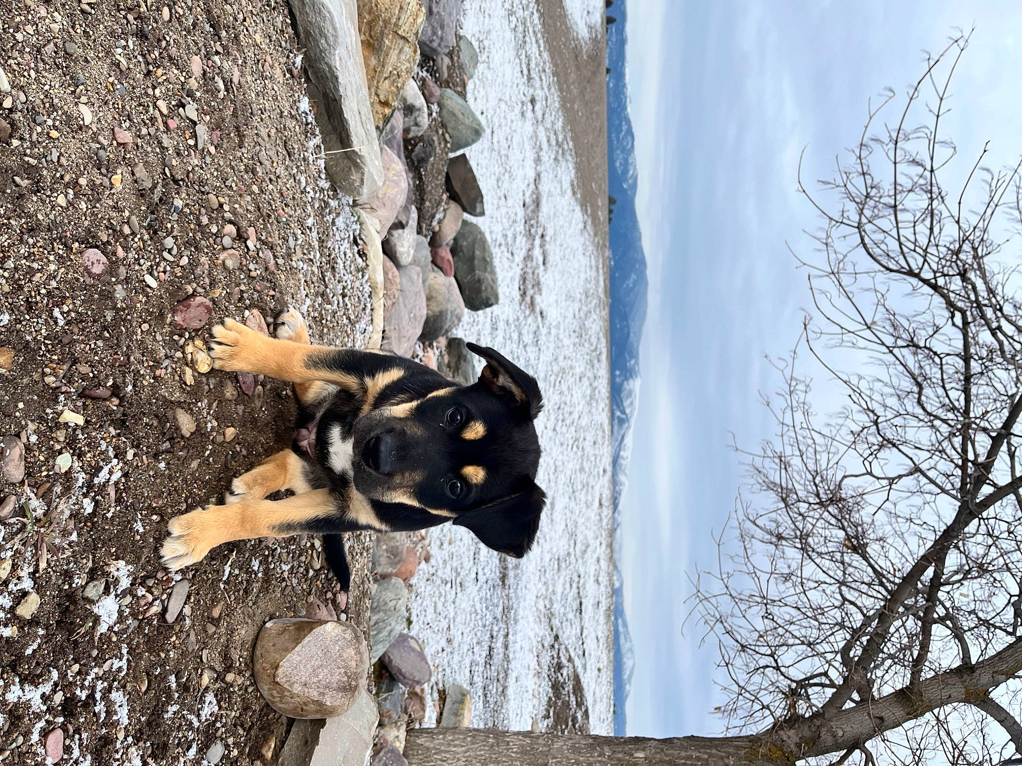Maybee is registered to the contest to win money with this photo: adventure, asphalt, cloud, extreme_sport, freezing, leisure, people_in_nature, plant, recreation, road_surface, rock, shadow, sky, soil, sport_climbing, tree, trunk, twig, winter, wood