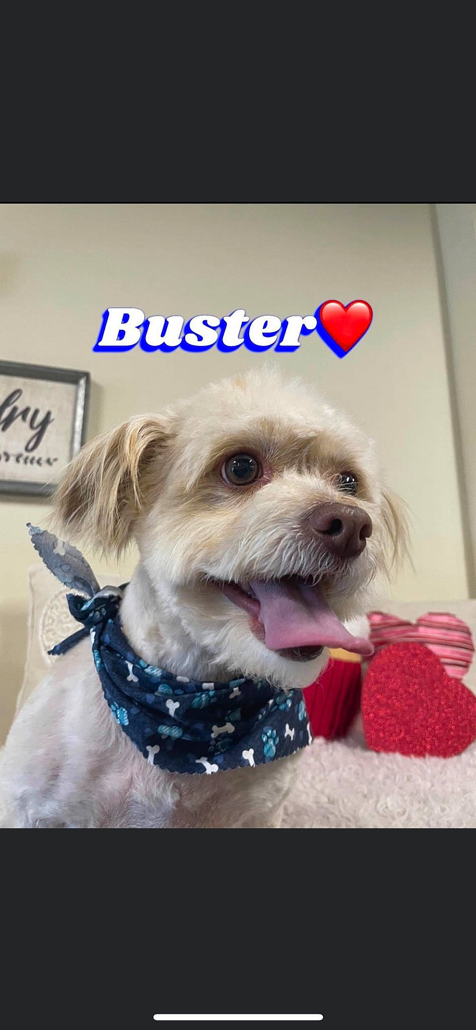 Buster