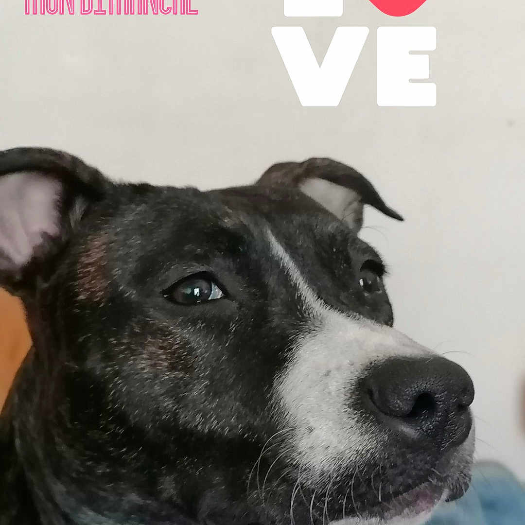 Nala