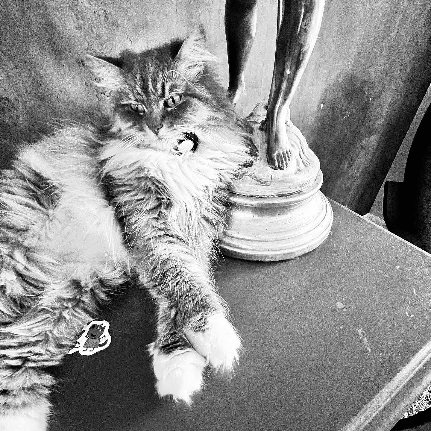 Pia joined the competition — help win amazing prizes! cat, fluffy, table, statue, legs, black_and_white, indoor, relaxed, feline, fur, art, sculpture, decor, close_up, pet, animal, curious, resting, monochrome, texture