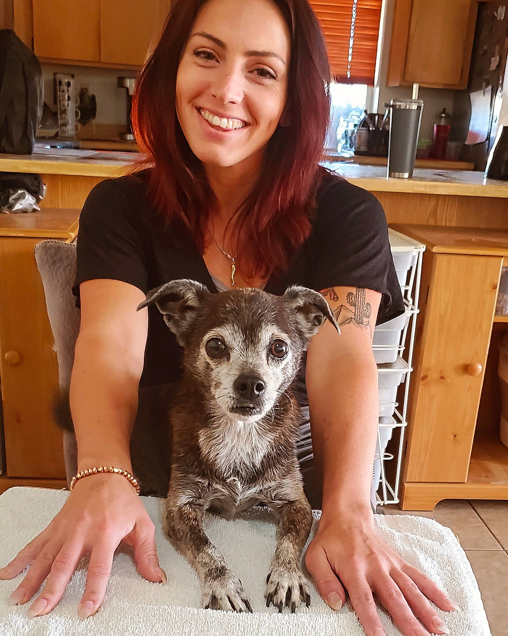 Gibbs joined the competition — help win amazing prizes! canidae, carnivore, chair, companion_dog, dog, dog_breed, eyewear, fawn, fur, happy, lap, pattern, sitting, smile, snout, sporting_group, t_shirt, tableware, toy_dog, whiskers