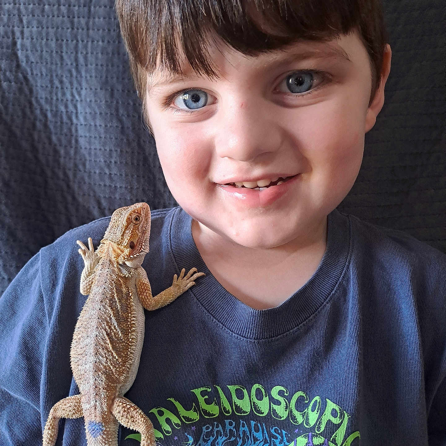 Blake is registered to the contest to win money with this photo: animal, anole, boy, child, clothing, couch, electronics, face, furniture, gecko, hardware, head, iguana, lizard, male, person, photography, portrait, reptile, t_shirt
