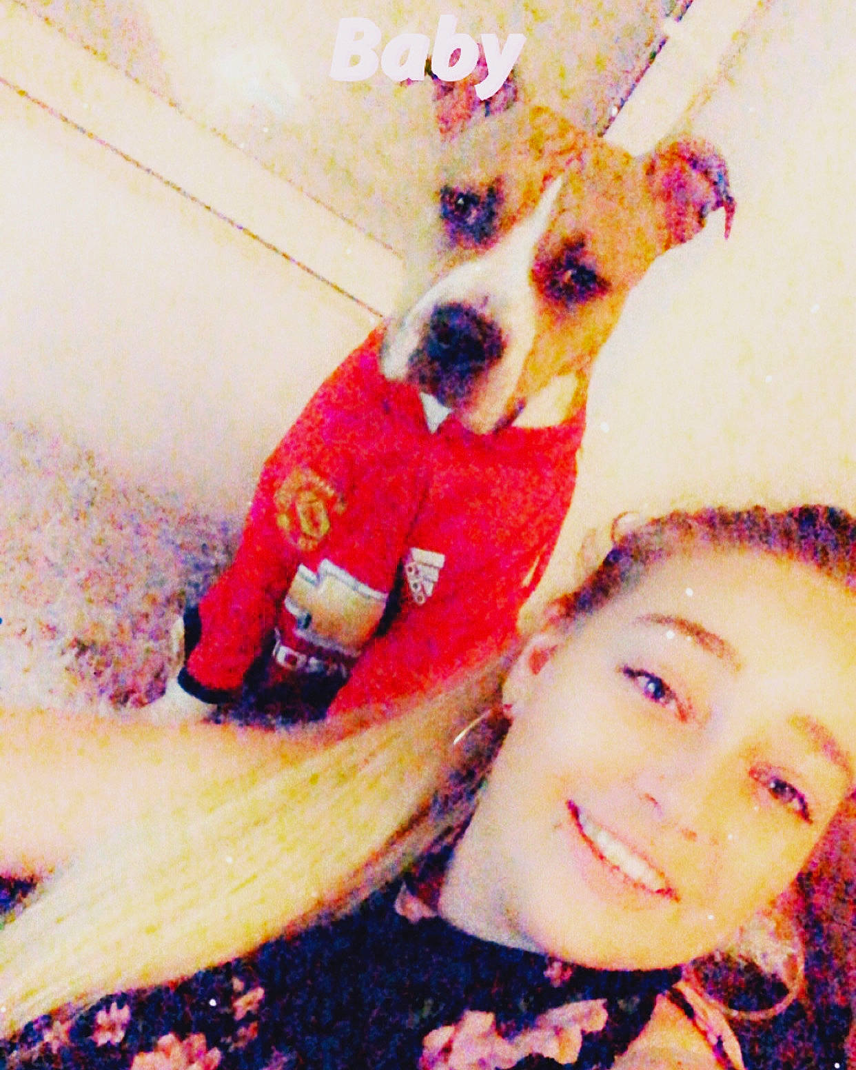 Kara a rejoint le concours — aidez-le/la à gagner de superbes lots ! canidae, carnivore, companion_dog, dog, dog_breed, fawn, puppy_love