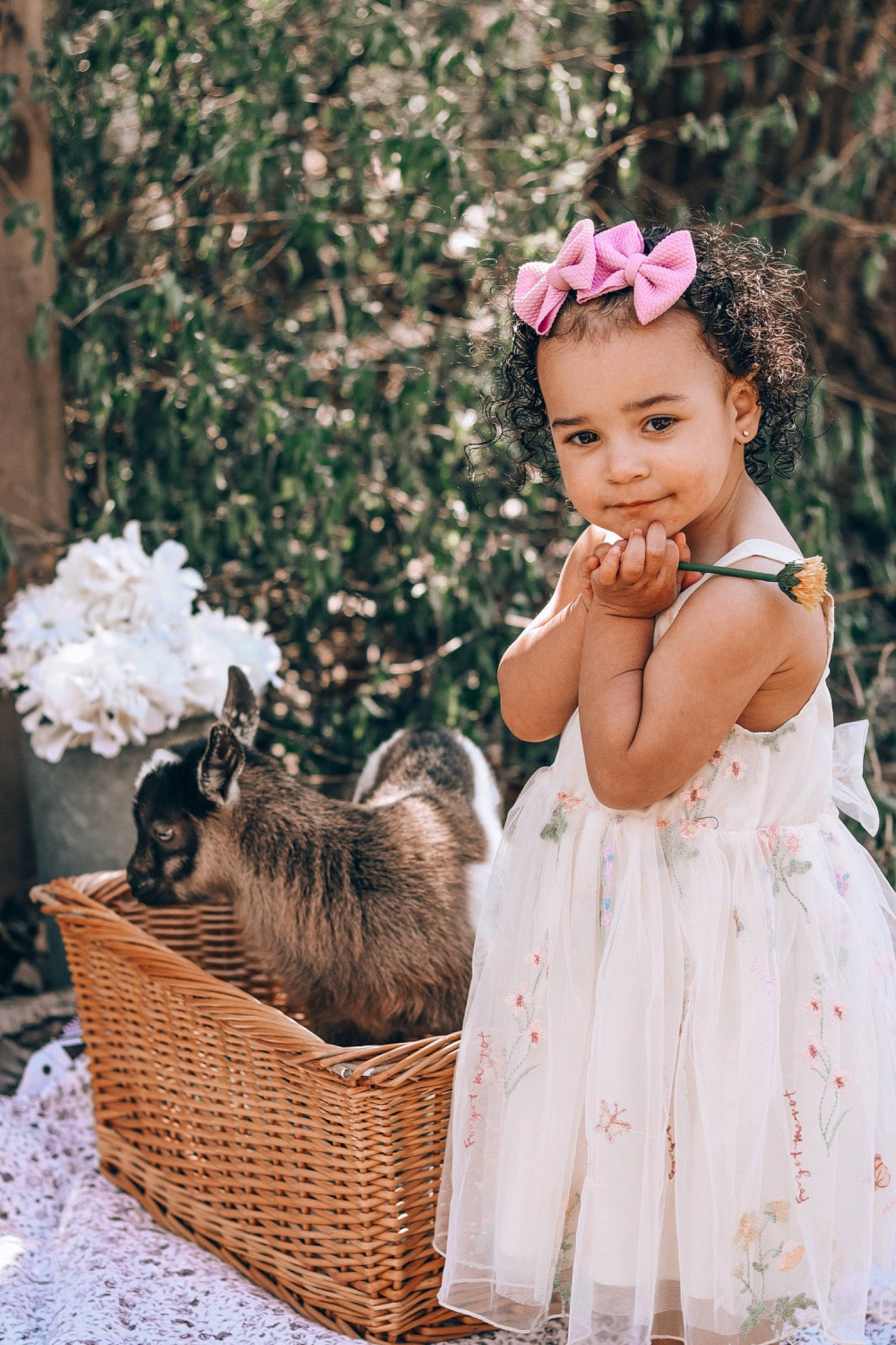 Quinnlee joined the competition — help win amazing prizes! baby, baby_toddler_clothing, basket, carnivore, companion_dog, day_dress, dog_breed, dress, event, fawn, felidae, flash_photography, flower, grass, happy, headpiece, headwear, person, petal, plant