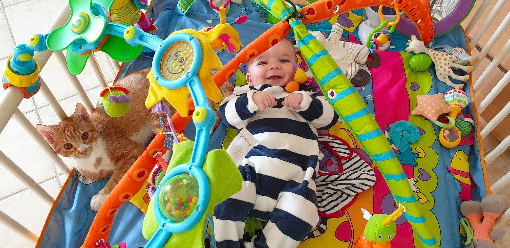 Aloïs a rejoint le concours — aidez-le/la à gagner de superbes lots ! baby_products, baby_toys, child, fun, headwear, kindergarten, person, play, playmat, product, toddler, toy