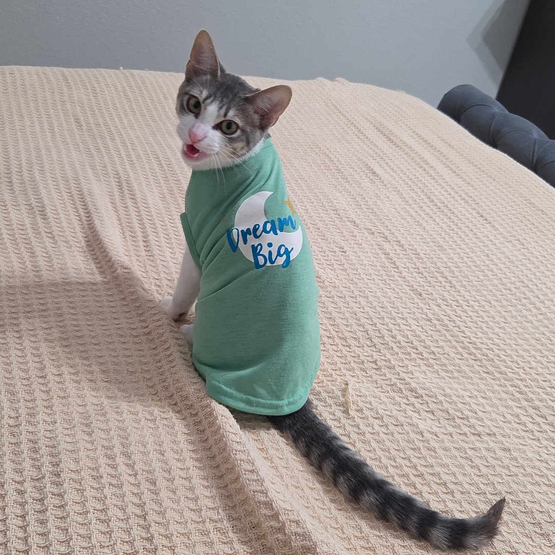 Yuki