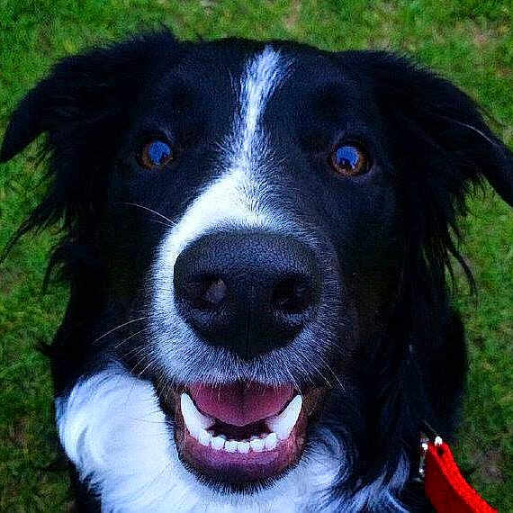 Basil joined the competition — help win amazing prizes!