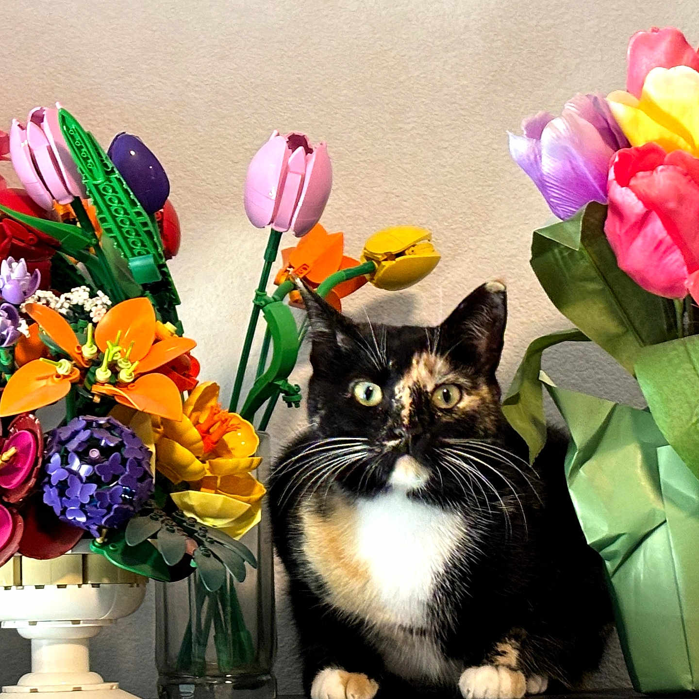 Paige is registered to the contest to win money with this photo: artificial_flowers, bouquet, cat, closeup, colorful, curious, decor, feline, flowers, home, indoor, leaf, nature, pet, plant, sitting, table, tortoiseshell_cat, vase, whiskers