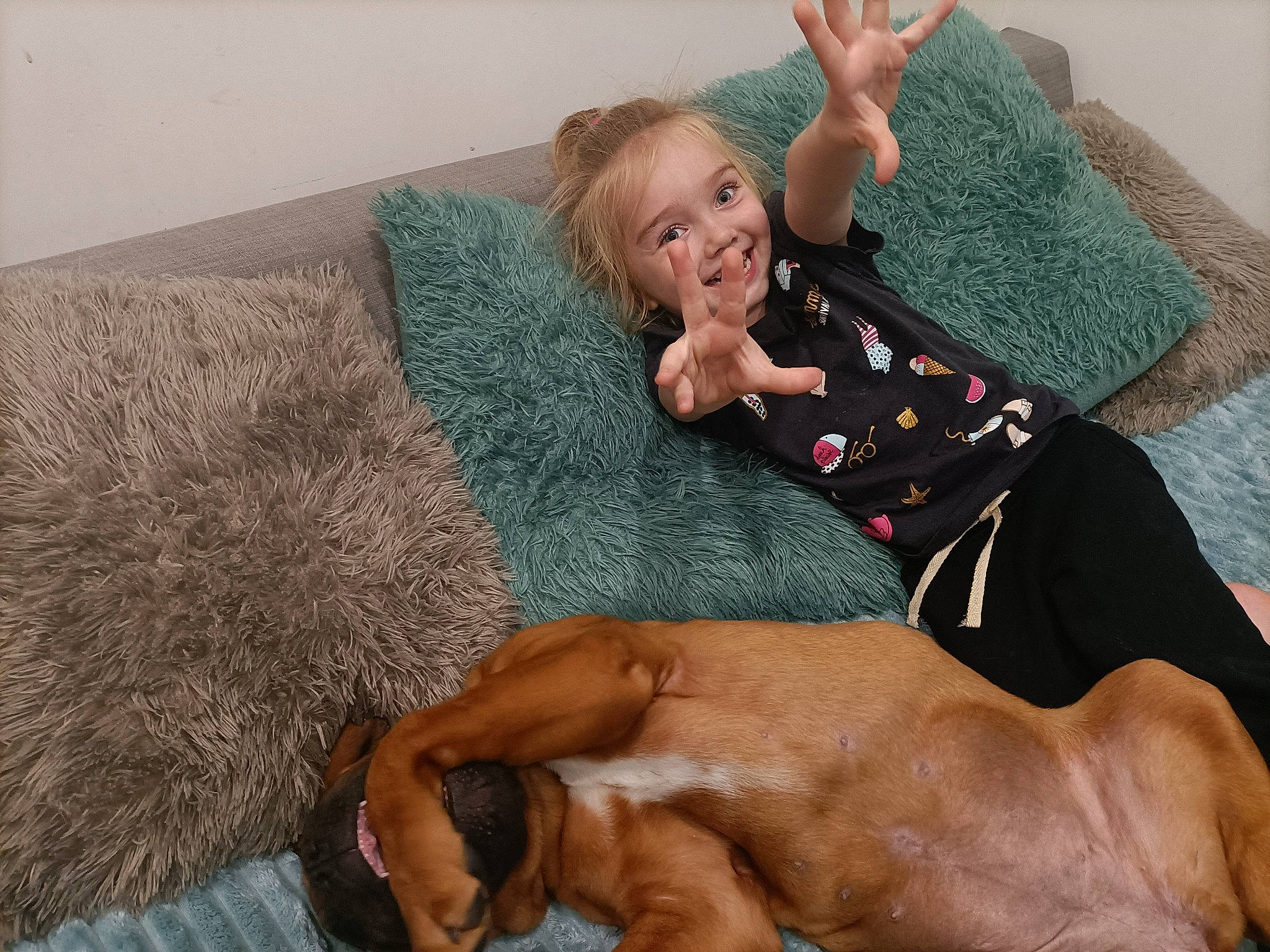 Leyna a rejoint le concours — aidez-le/la à gagner de superbes lots ! barefoot, carnivore, comfort, couch, dog, dog_breed, foot, fun, happy, human_leg, joy, knee, lap, leg, leisure, linens, person, pillow, sitting, smile