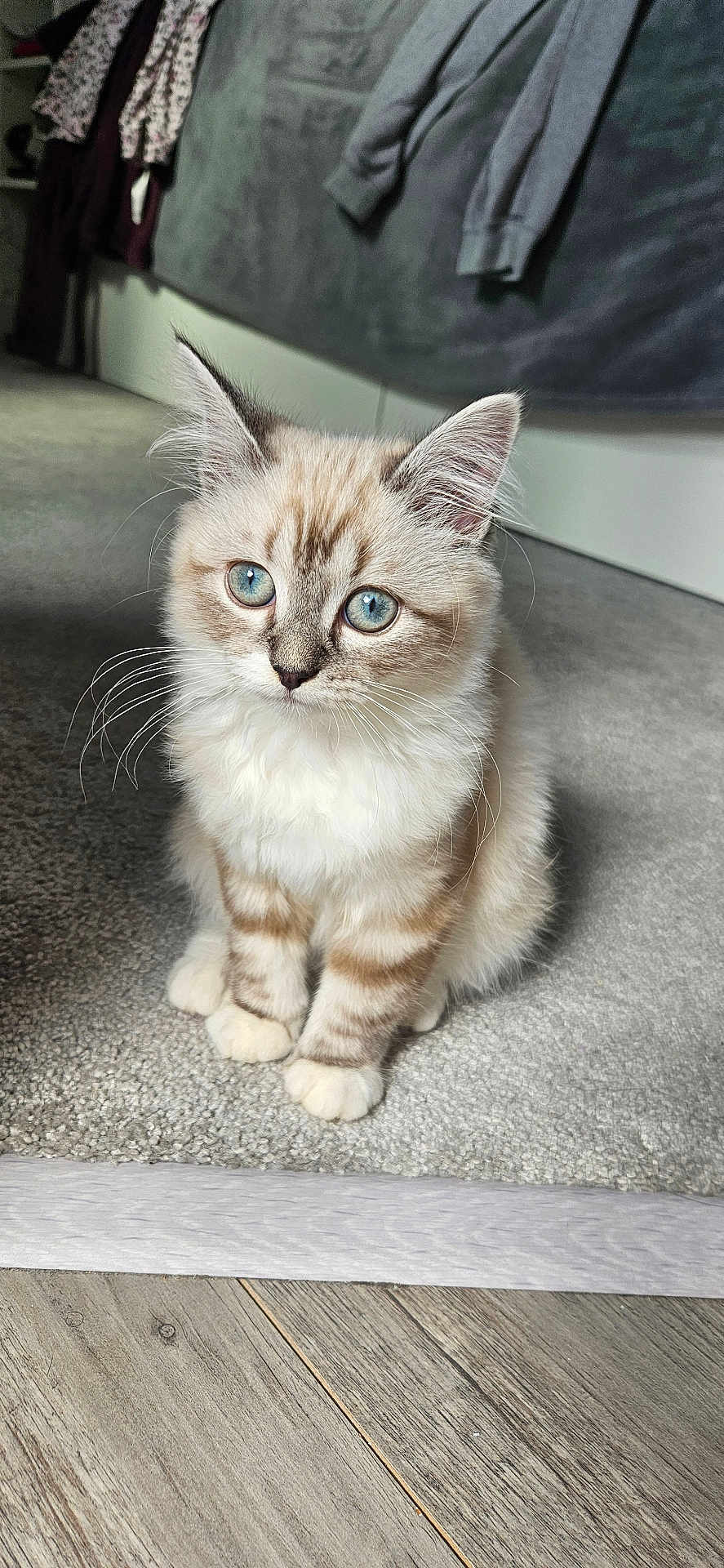 Mia