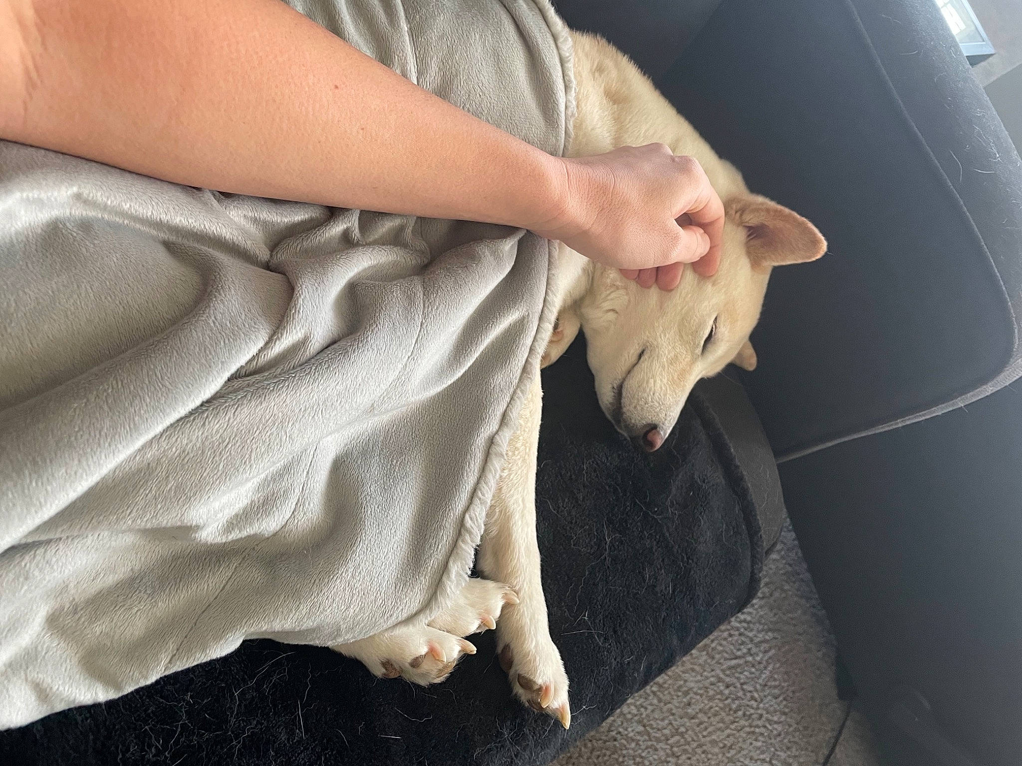 Bonnie joined the competition — help win amazing prizes! car_seat, comfort, elbow, foot, gesture, hand, hood, human_leg, knee, leg, linens, nail, sleeve, thigh, thumb, tints_and_shades, vehicle_door, waist, wood, wrist