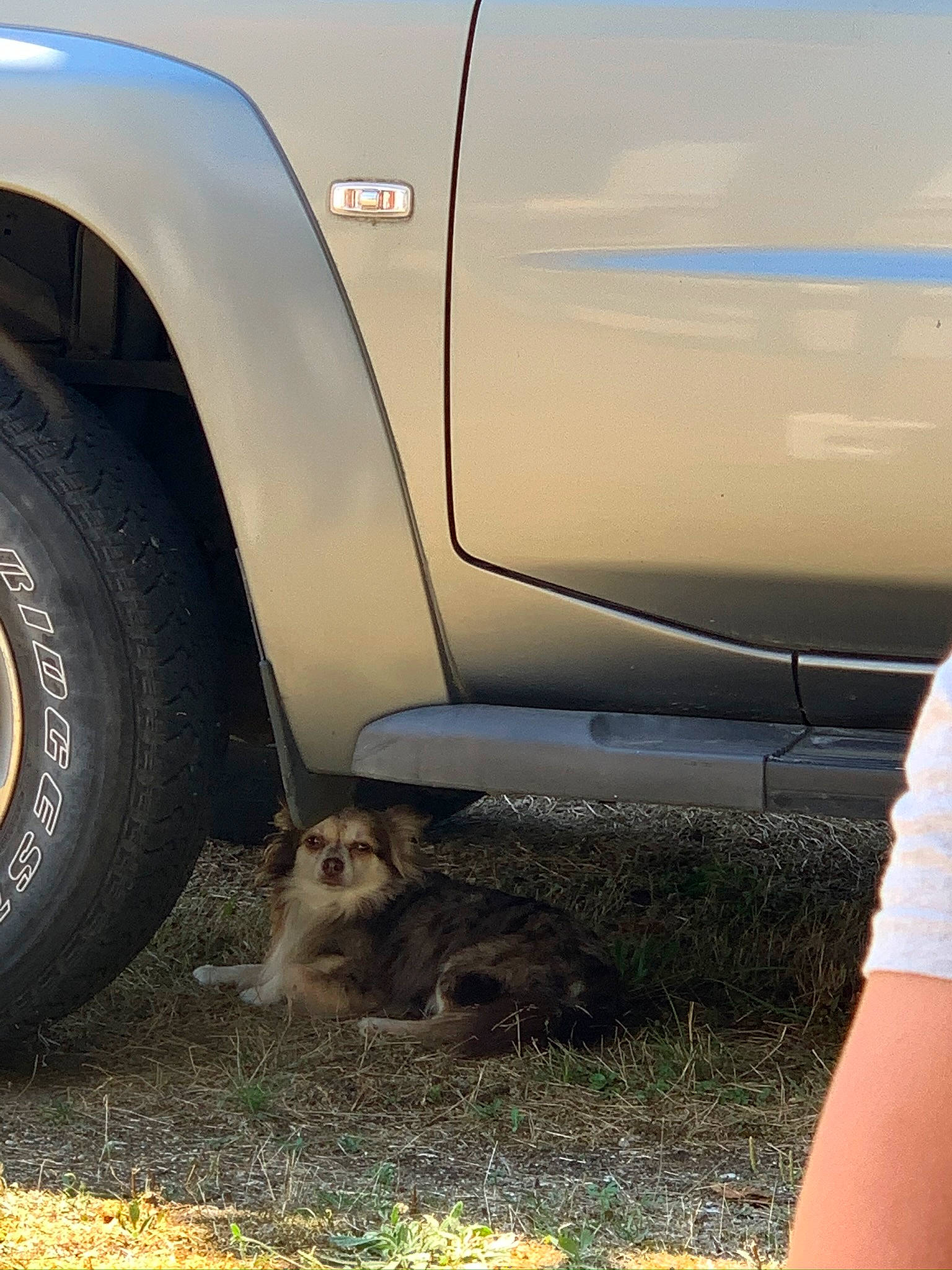 Iris a rejoint le concours — aidez-le/la à gagner de superbes lots ! alloy_wheel, auto_part, automotive_exterior, automotive_tire, automotive_wheel_system, car, fender, land_vehicle, off_road_vehicle, off_roading, rim, synthetic_rubber, tire, tire_care, tread, vehicle, wheel