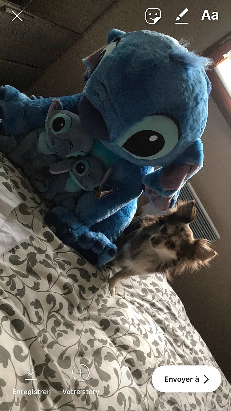 Iris a rejoint le concours — aidez-le/la à gagner de superbes lots ! costume, fictional_character, fur, headgear, mask, plush, stuffed_toy, textile, toy