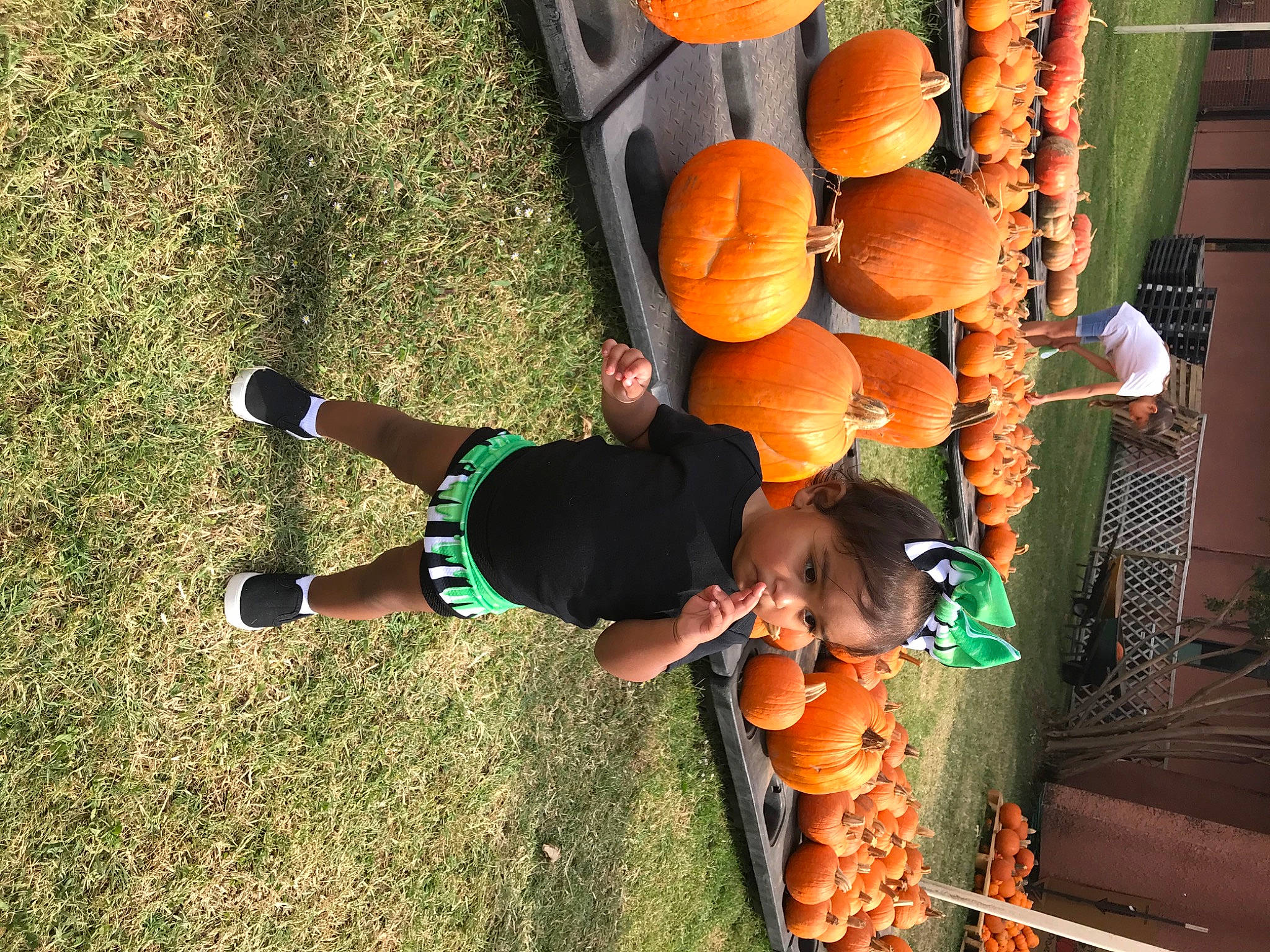 Mila Rose is registered to the contest to win money with this photo: calabaza, cucurbita, fun, gourd, grass, happy, human_leg, leisure, natural_foods, orange, people_in_nature, person, plant, pumpkin, shorts, soil, squash, sunglasses, tree, vegetable