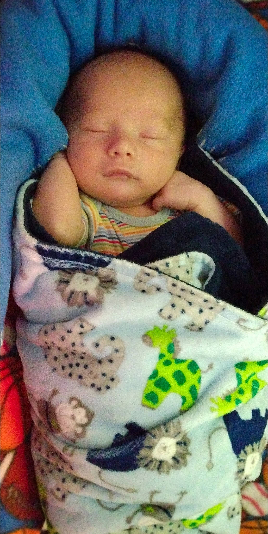 Trae Jr joined the competition — help win amazing prizes! baby, baby_products, baby_sleeping, baby_toddler_clothing, bedding, cheek, child, comfort, green, happy, linens, nose, pattern, person, room, skin, sleeve, textile, toddler, vertebrate