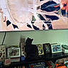 cat, black_cat, tv_screen, dog_on_tv, hand, fan, shelf, framed_photos, board_games, books, candle, living_room, curious_cat, indoor, entertainment, animal, pet, home_decor, screen_text, media