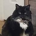 Ellie D.