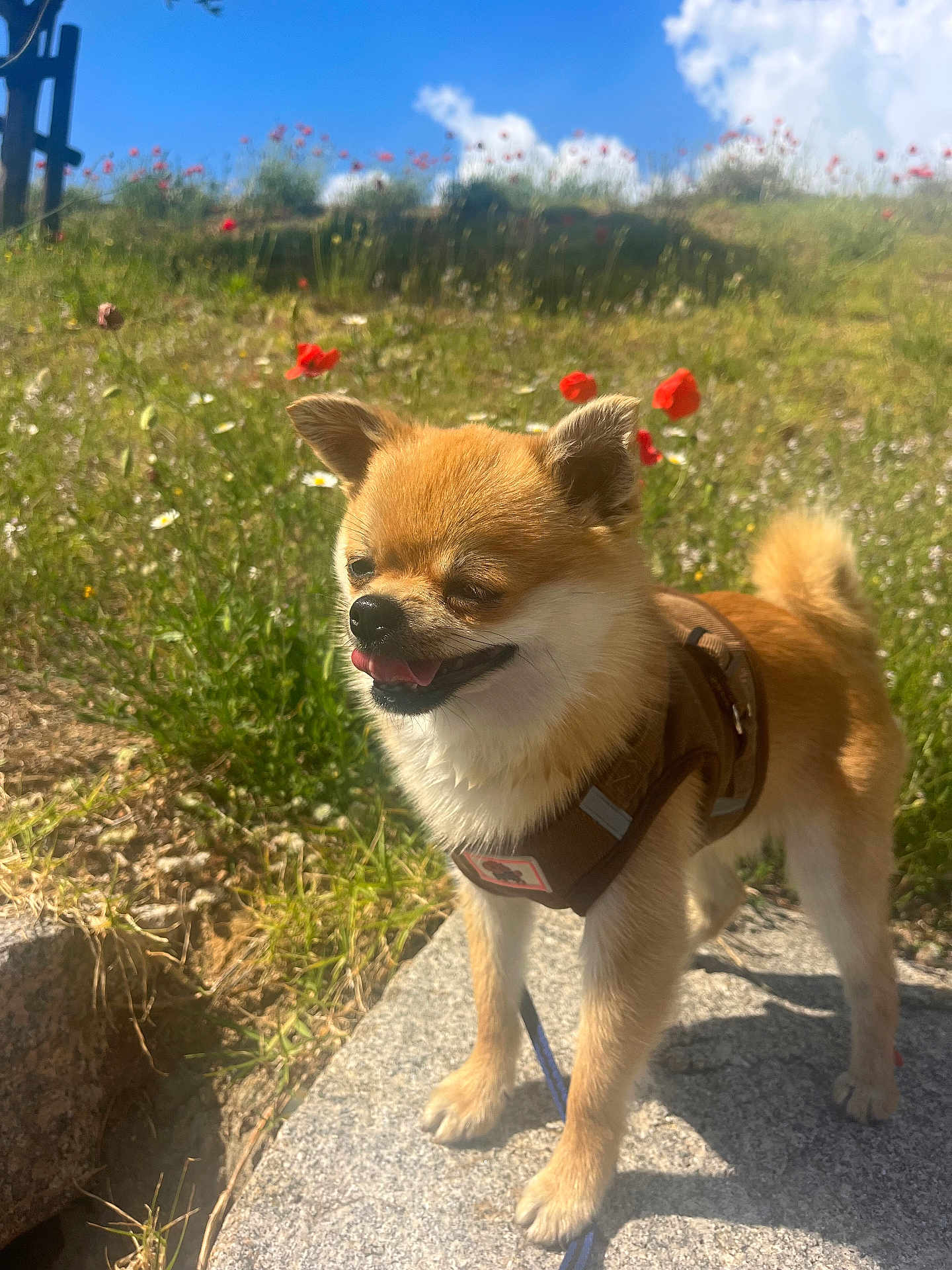 Caramel