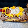 baby, newborn, sleeping, costume, yellow, duck, basket, blanket, chocolate, kinder_surprise, toy, soft, cute, infant, indoors, resting, comfort, cozy, child, portrait