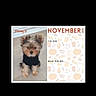 dog, puppy, yorkshire_terrier, small_dog, black_sweater, calendar, november, pet, animal, sitting, portrait, fluffy, brown_fur, black_fur, indoors, photograph, website_screenshot, mobile_screen, calendar_page, cute