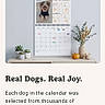 Chewy Ii is registered to the contest to win money with this photo: dog, puppy, calendar, smartphone, screenshot, website, advertisement, text, november, home_decor, plants, succulents, vase, pumpkins, shelf, interior, orange_button, mobile_interface, pet_product, photography