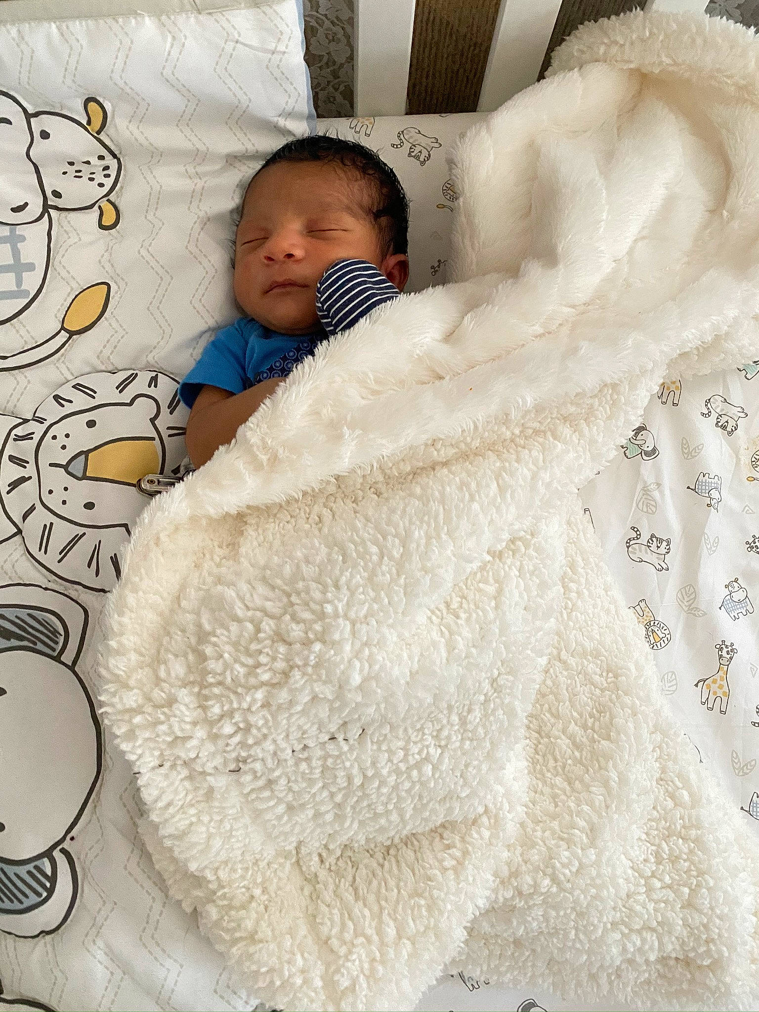 Marcel is registered to the contest to win money with this photo: baby, baby_products, baby_sleeping, baby_toddler_clothing, bed_sheet, bedding, bedtime, blanket, child, comfort, flooring, fur, happy, linens, pattern, person, room, textile, throw_pillow, toddler
