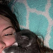 Oswald joined the competition — help win amazing prizes! person, kitten, cat, face, paw, blanket, snuggling, close_up, indoor, cozy, cute, sleeping, resting, animal, feline, pet, soft, comfort, warm, hair