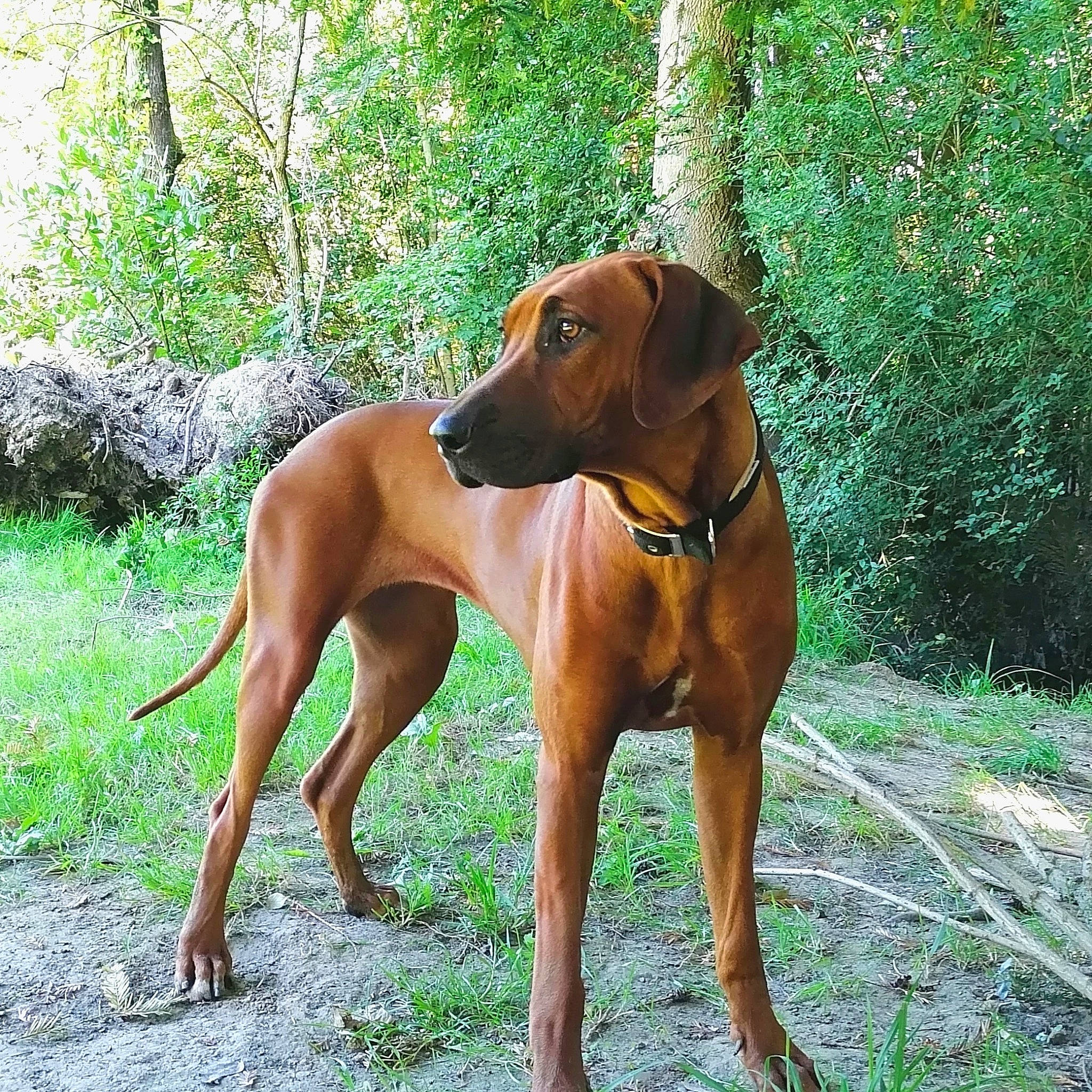 Poska Tribe Of Yutta