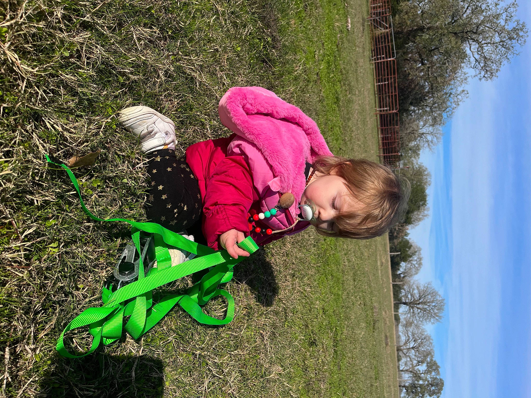 Chloe is registered to the contest to win money with this photo: baby_products, baby_toddler_clothing, bicycle_accessory, child, fun, grass, happy, leisure, magenta, people_in_nature, person, plant, recreation, sky, soil, spring, tire, toddler, tree, wheel
