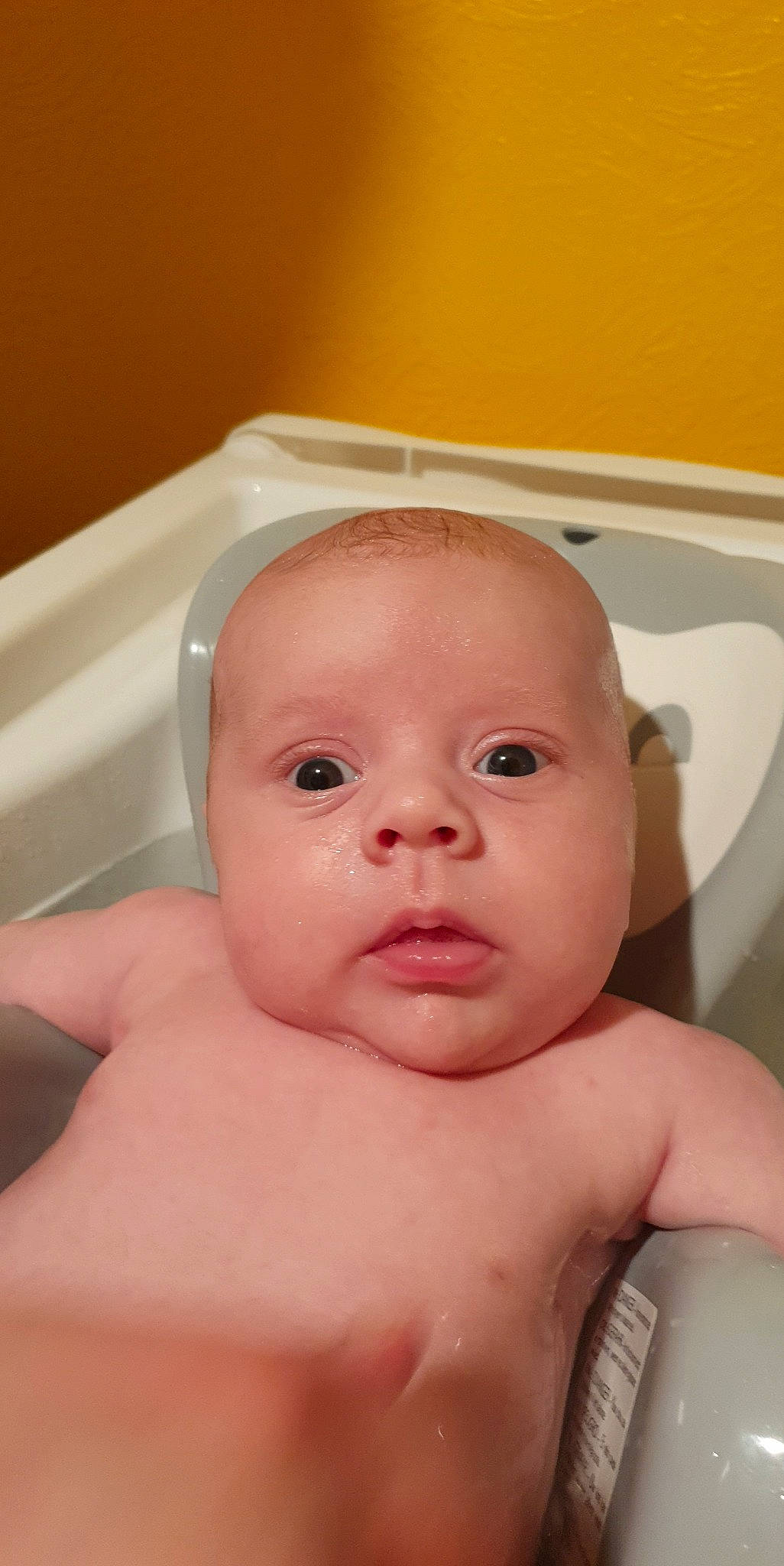 Naël participe au concours pour gagner de l'argent avec cette photo : arm, baby, baby_bathing, cheek, ear, eye, eyebrow, eyelash, fluid, forehead, hair, hand, head, human_body, lip, mouth, neck, nose, person, skin