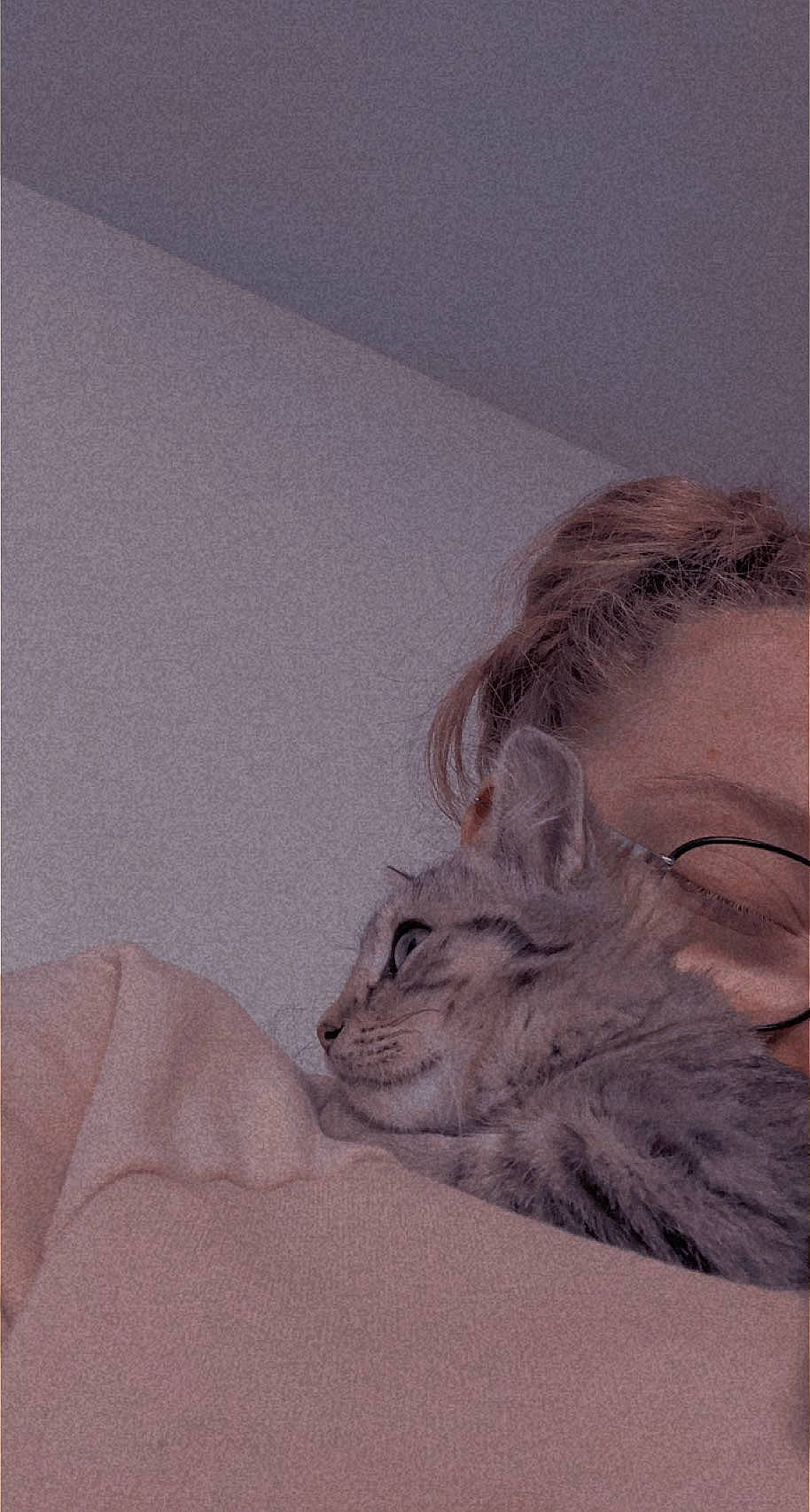 Rony Rio participe au concours pour gagner de l'argent avec cette photo : art, beard, carnivore, cat, comfort, domestic_short_haired_cat, facial_hair, felidae, figure_drawing, fur, gesture, glasses, jaw, sleeve, small_to_medium_sized_cats, snout, tail, visual_arts, whiskers, window